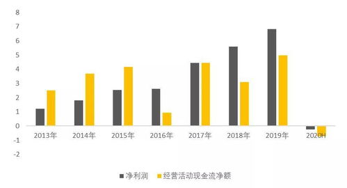 一路大跌29%，启明星辰vs奇安信 网络安防产业链，情况还好吗？